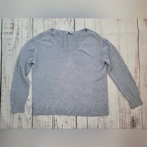 Everlane Soft Cotton V-Neck Pullover Sweater Relaxed Boxy Blue Small